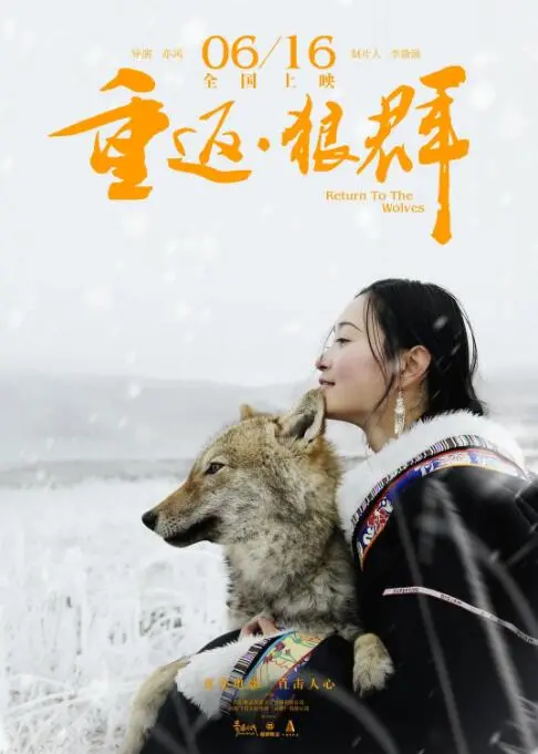 《重返·狼群》：震撼人心的战争纪录片与游戏IP式生存挑战！记录真实野性，感悟生命的力量与回归！