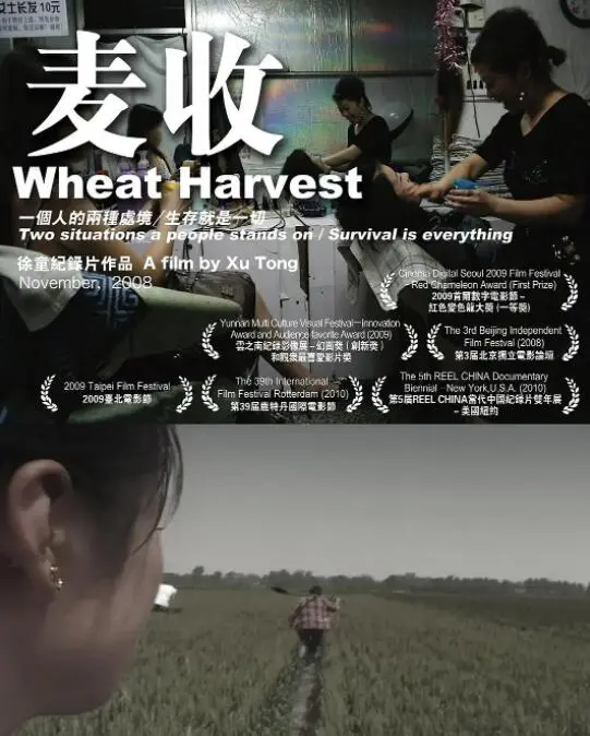 麦收 海报