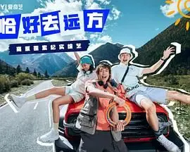 《恰好去远方》：迷雾重重的犯罪纪录片，深入探寻人性阴暗与社会真相，一次关于真相与救赎的深刻追问！