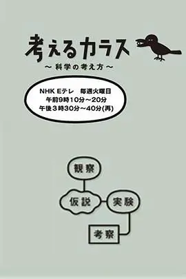 《像乌鸦一样思考》：一趟颠覆认知的思考之旅，打破思维定势，探索理性与非理性的边界