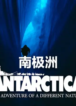 《南极洲》：冰封绝境下的生命赞歌，人性在极寒中被扭曲拷问！