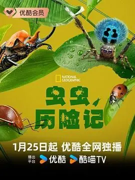 《虫虫历险记》：一部关于家庭、成长与勇气的动画巨制，揭示了小人物也能创造奇迹的生命赞歌