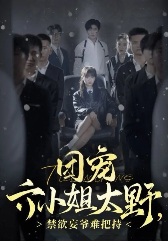 《团宠六小姐太野，禁欲王爷难把持》：当野性遇上禁欲，一场命中注定的宿命纠缠与激情碰撞