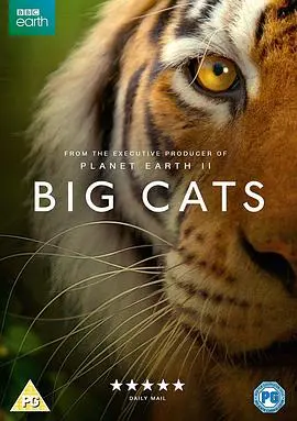 《大猫》：比《国家地理》更震撼！这部纪录片，把“科技探索”玩出了花！